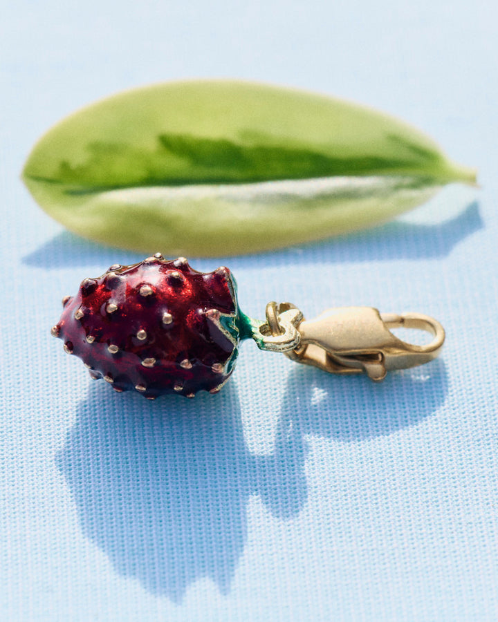 Coffret - Brigitte & Charm Strawberry